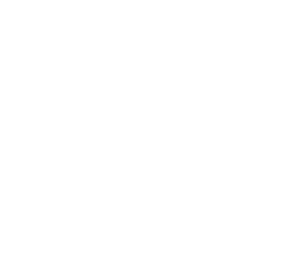 Winner Best Cinematography Porto